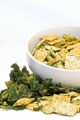 Kelp Crackers – Italian Gourmet Seaweed Crackers - 3 Flavors