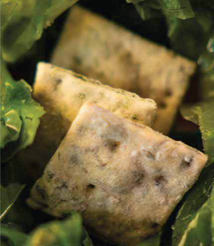 Ulva Crackers – Italian Gourmet Seaweed Crackers - Neptune's Bliss